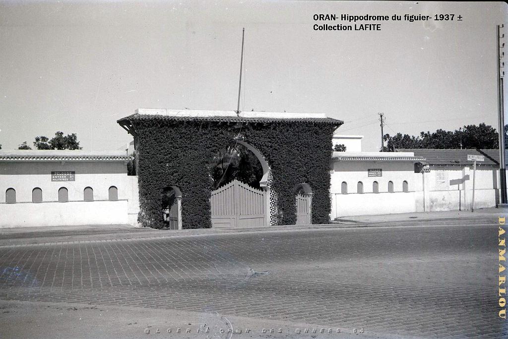 ORAN 1937 HYPPODROME DU FIGIER    (2).jpg